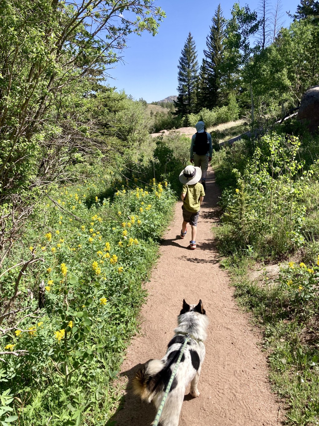 hiking in wyoming