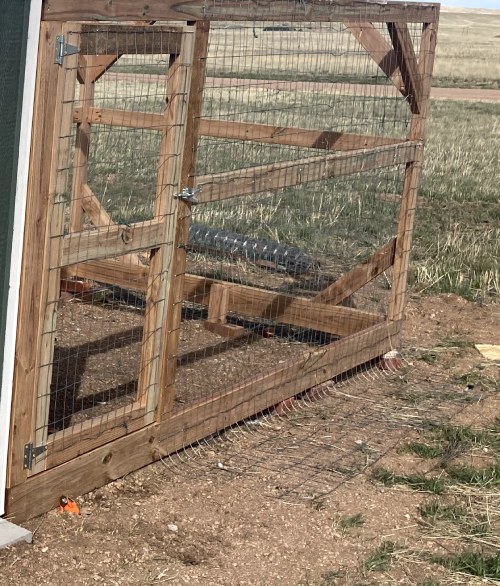 extend the fencing onto the ground to prevent predators from digging into the chicken coop