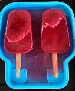 chokecherry popsicle recipe