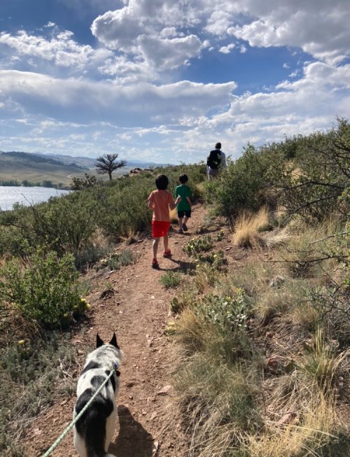 Curt Gowdy State Park