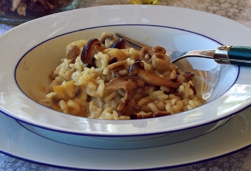 mushroom risotto with bone broth