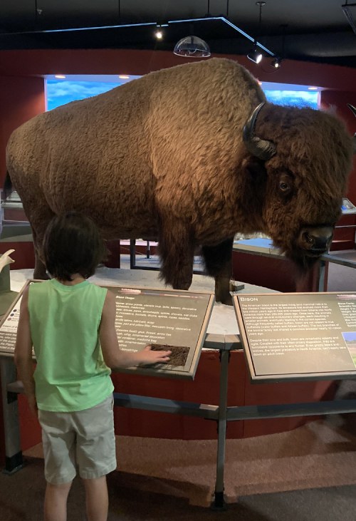 cheyenne vacation wyoming state museum
