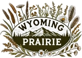 wyoming prairie wyoming foraging and wyoming fun facts