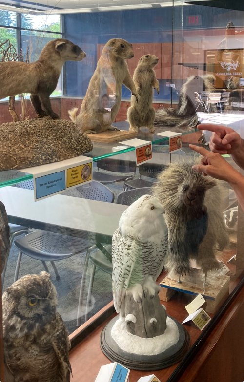 Wyoming State Museum