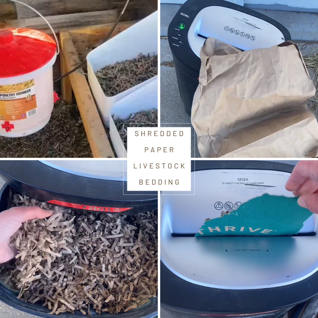 Reuse Packing Material as Animal&nbsp;Bedding