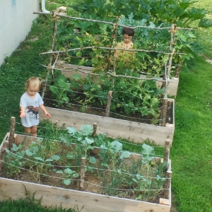 stick trellis garden