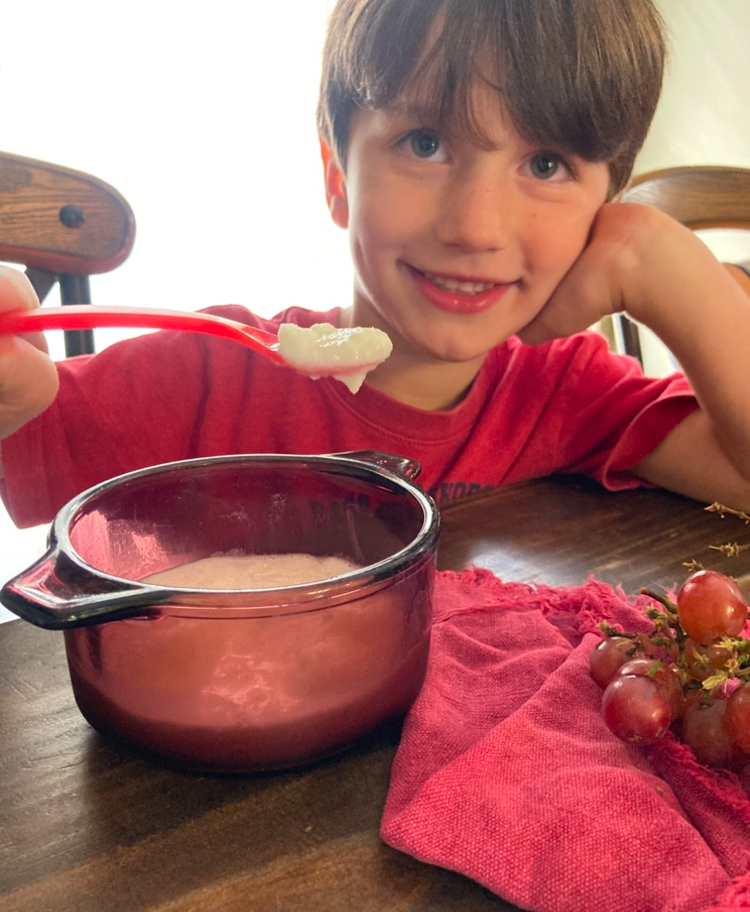 no-churn goat milk ice cream recipe