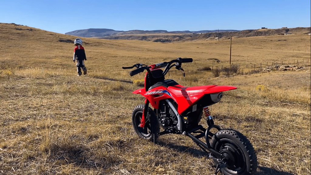 Comparing Walmart Creator, Amazon Influencer, TikTok Pilot Program & Benable