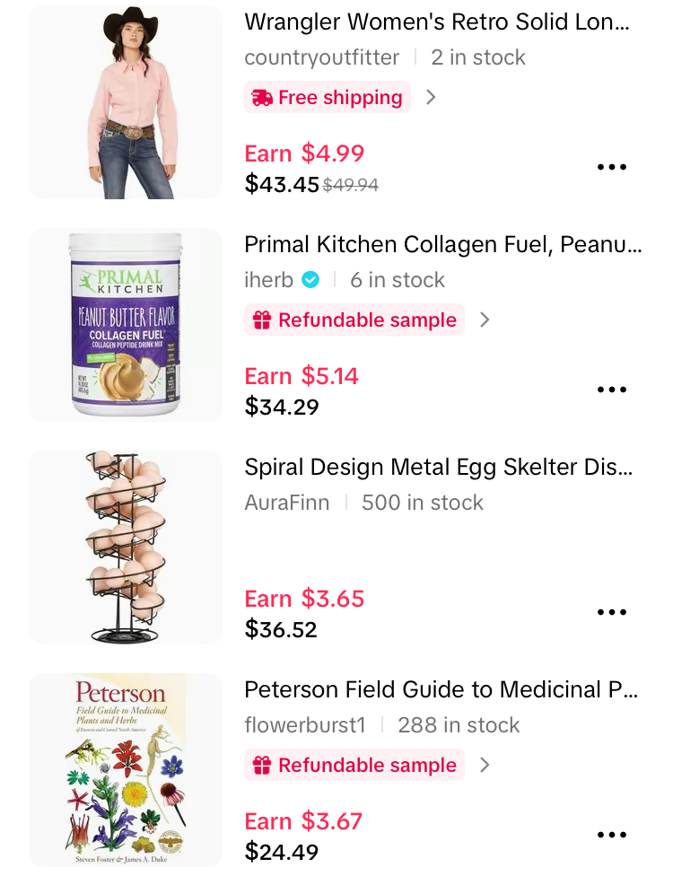 is tiktok pilot program worth it