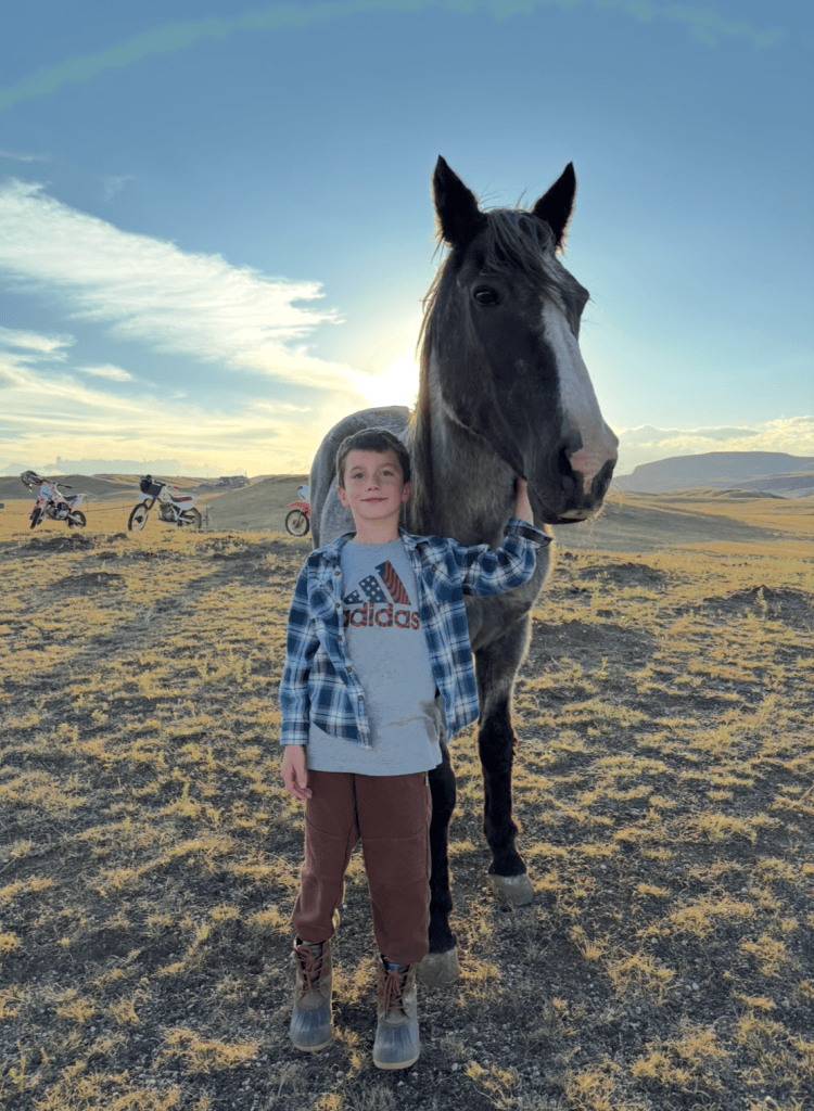 31 year old Spanish Mustang